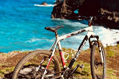 South Discovery Eco Tour med cykeltur och picknicklunch