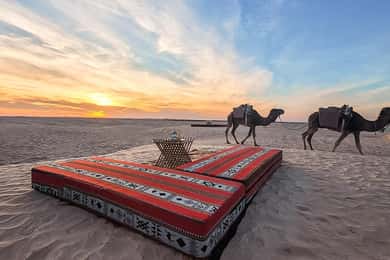 Djerba: Berber Adventure, Dunes and Starry Nights+Sandboard