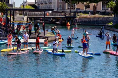 Cape Town: Stand-Up Paddle Board Rental with Basic Training