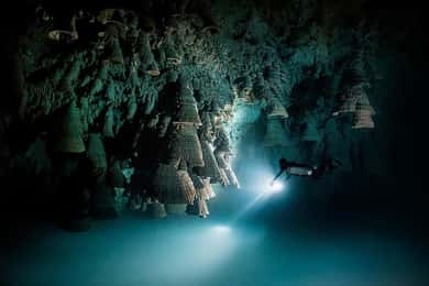 Playa del Carmen : Explorez le monde surréaliste de la plongée dans les cénotes
