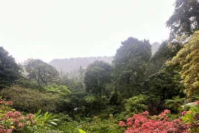 St Vincent: Montreal Gardens, Botanical Gardens & Fort Tour