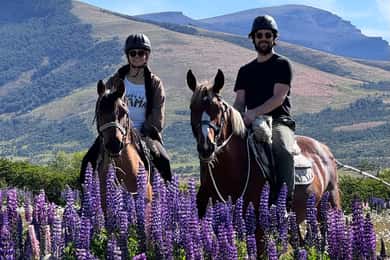 Puerto Natales: Horseback Riding with Horse Connection