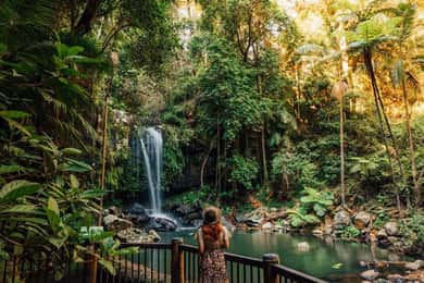 Do ônibus hop-on hop-off da Gold Coast para a Tamborine Mountain