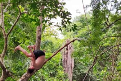 Huatulco: Private Tour of Magical Waterfalls of Copalitilla