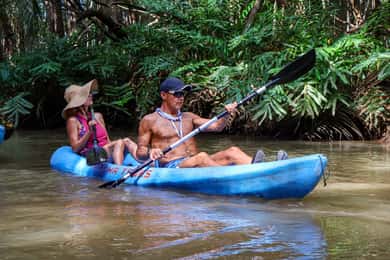 Quepos: Kayak Tour in the Mangroves Near Manuel Antonio Park