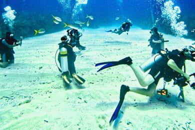 Ambergris Caye: Discover Scuba Diving Experience