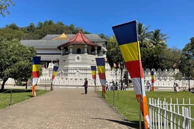 From Colombo: Kandy & Pinnawala & Tea Factory Full Day Trip