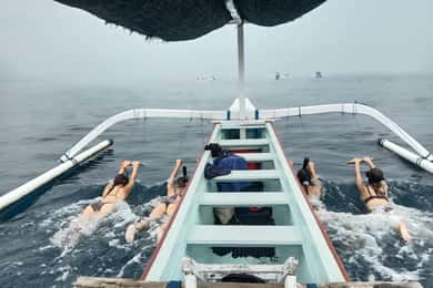 Bali: Lovina Dolphin Watching and Snorkeling Tour