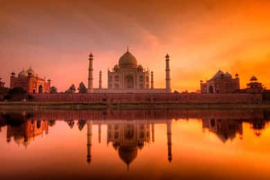 From Delhi: Taj Mahal Sunrise Tour w/ Elephant Conservation