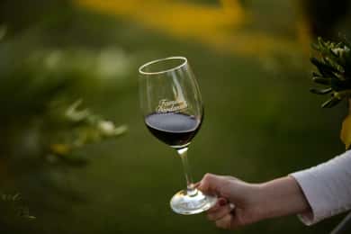 Visit two wineries Familia Dardanelli and Angel Fallabrino