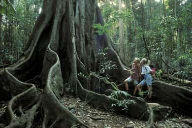 Sri Lanka jungle tour 4 days-rainforests, national parks...