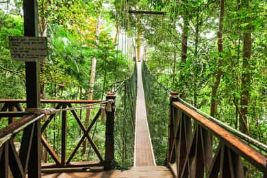 Fra Kuala Lumpur: Heldagstur til Taman Negara nasjonalpark