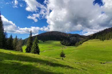 From Cluj-Napoca: Carpathian Mountains Guided Scenic Hike