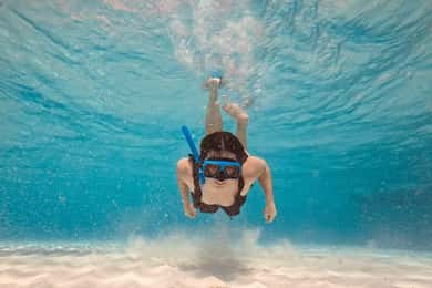 Cozumel: Cielo & Palancar Snorkel with Snack & Drinks