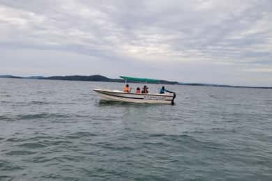 Trincomalee: Whales & Dolphin Watching Tours