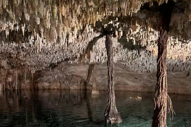 Riviera Maya : Aventure gay dans les cénotes et la jungle