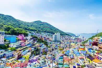 Busan: Hidden Gems, Beaches and Local Food Private Tour