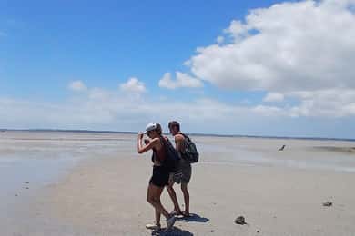Tofo: Pansy Island and Pigs Island Day Trip