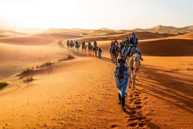 Merzouga: 3-Day Safari with Food, camel, 4x4, luxury camping
