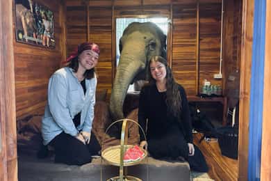 Chiang Mai 2-Day: Good Morning Elephant & Overnight Homestay