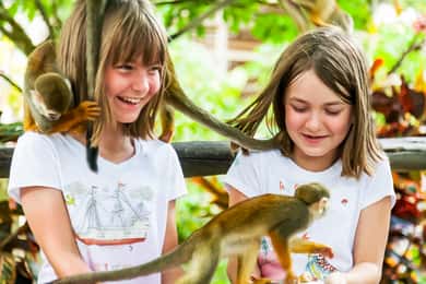 Punta Cana: Safari de meio dia na Terra dos Macacos e Plantação