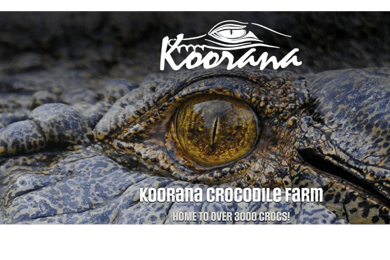 Rockhampton: Koorana Crocodile Farm Guided Tour