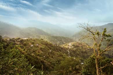 Excursão à Blue Mountain: Uma fuga de meio dia de Kingston