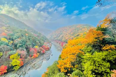 Kyoto: Tour di un giorno intero con guida esperta