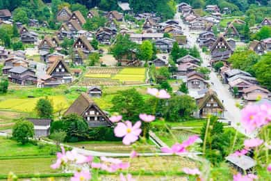 名古屋発：白川郷＆飛騨高山 1日ツアー
