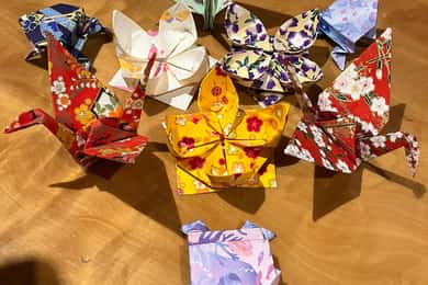 Tokio: domina el arte del origami tradicional con un guía local.