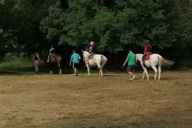 Verona: Horseback Ride Along the Adige River