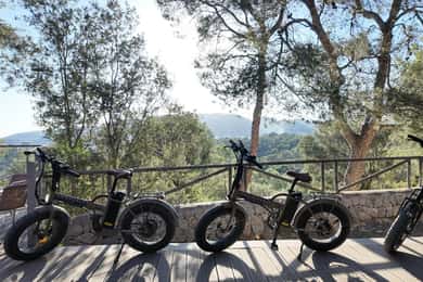 Palma: Electric Mountain Adventure: Ride Higher, Go Farther!