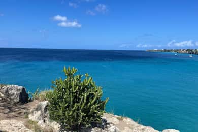 Verborgen juweeltjes van Curaçao met strandwandeltour