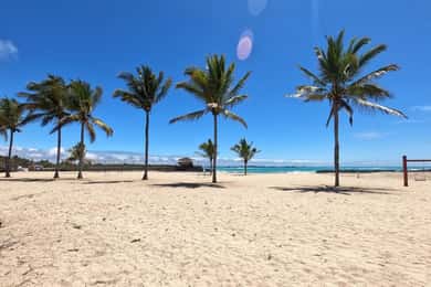 De Puerto Ayora: Excursão de um dia à Ilha Isabela e à Ilhota Tintorera