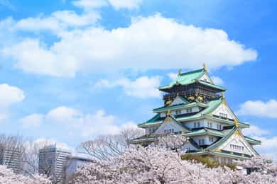 大阪市内英語プライベートツアー ホテル送迎観光