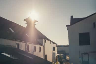 Glengoyne Distillery Tour with Whisky & Chocolate