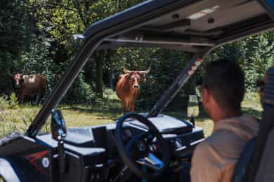4h Buggy Tour - Arcos de Valdevez - Peneda Gerês