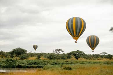 Zanzibár: 3 napos Selous Game Reserve szafari repülővel