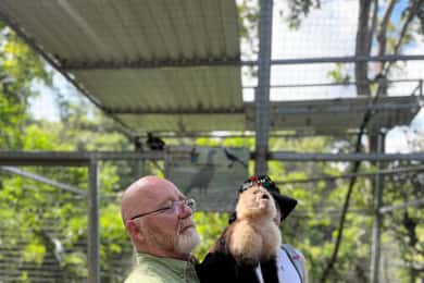 Sloth and Monkey Park Private Tour at Roatan with Pickup