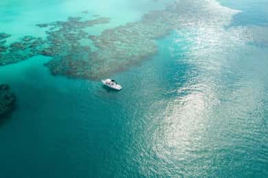 Bermuda: Two Stop Snorkel & Shipwreck (From Dockyard)