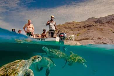 Snorkeling ao vivo e natação com tartarugas marinhas no Atlântico
