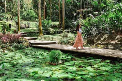 Garden of Sleeping Giant with Tifajek Mudpool Hotspring Tour