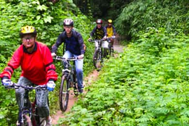 Chiang Mai: Excursión guiada en bicicleta de montaña por la selva tropical