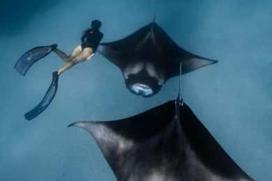 Vanaf Bali: Nusa Penida Dagtour & Snorkelen