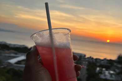 Compras e passeios turísticos Tour guiado local em Montego Bay