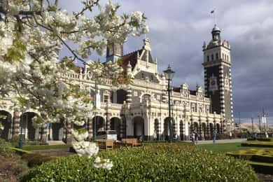 Dunedin: Small Group City Highlights Tour
