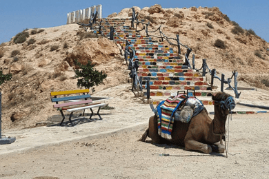 From Djerba: Day Trip Desert Douz and Matmata