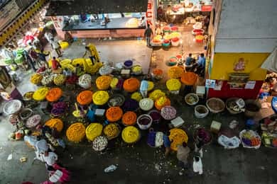 Bangalore Discovery: Temples, Markets, and Parks