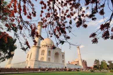 Sunrise Taj Mahal, Agra Fort & Baby Taj Tour (All-Inclusive)