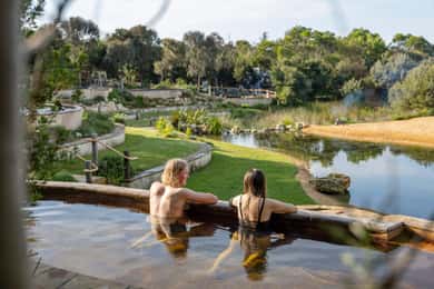 Melbourne: Mornington Peninsula Hot Springs and Winery Tour